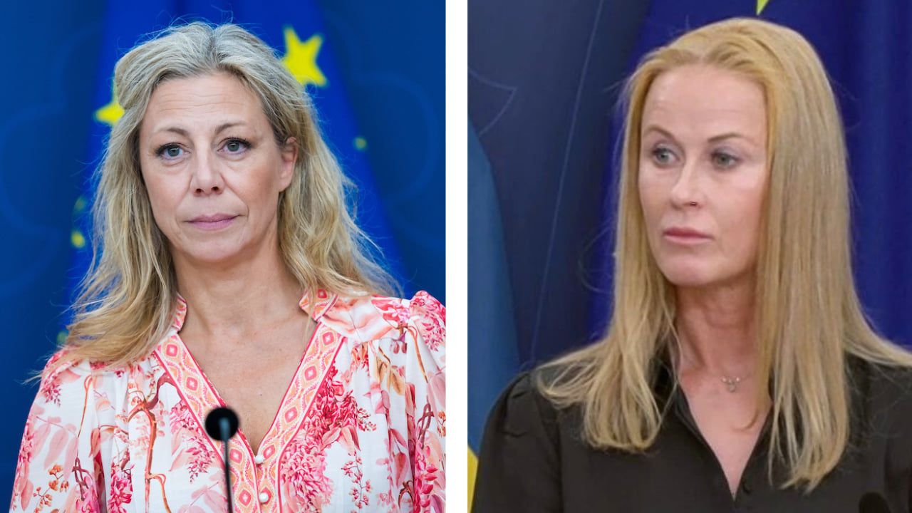 SD ber Katja Nyberg lämna sin plats i riksdagen