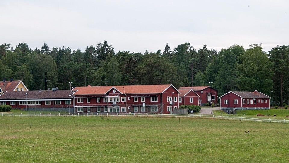Rödjan.jpg