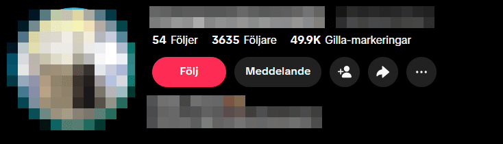 Foto: TikTok