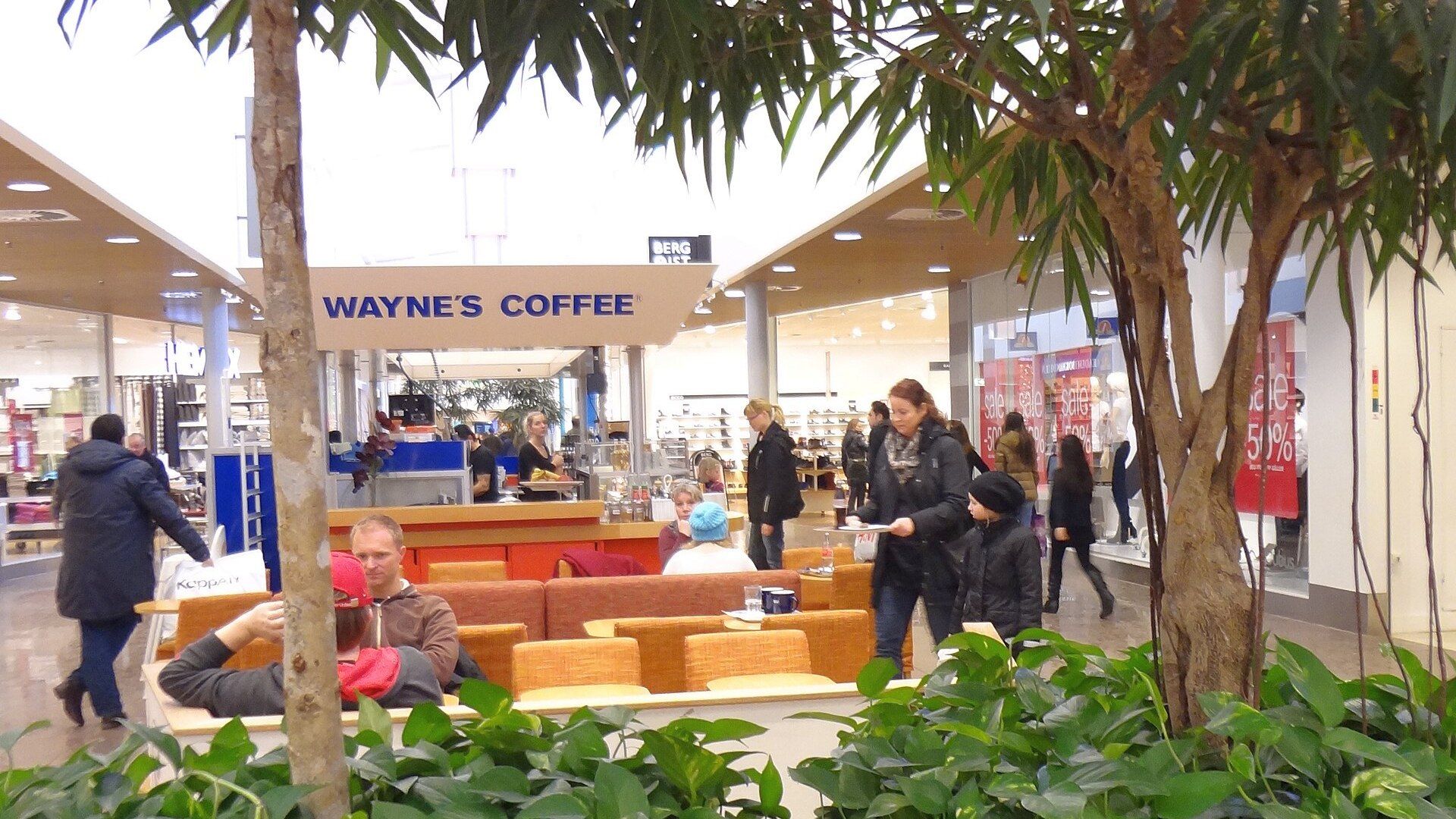 Skenande skulder - nu går kafékedjan Wayne's Coffee i konkurs