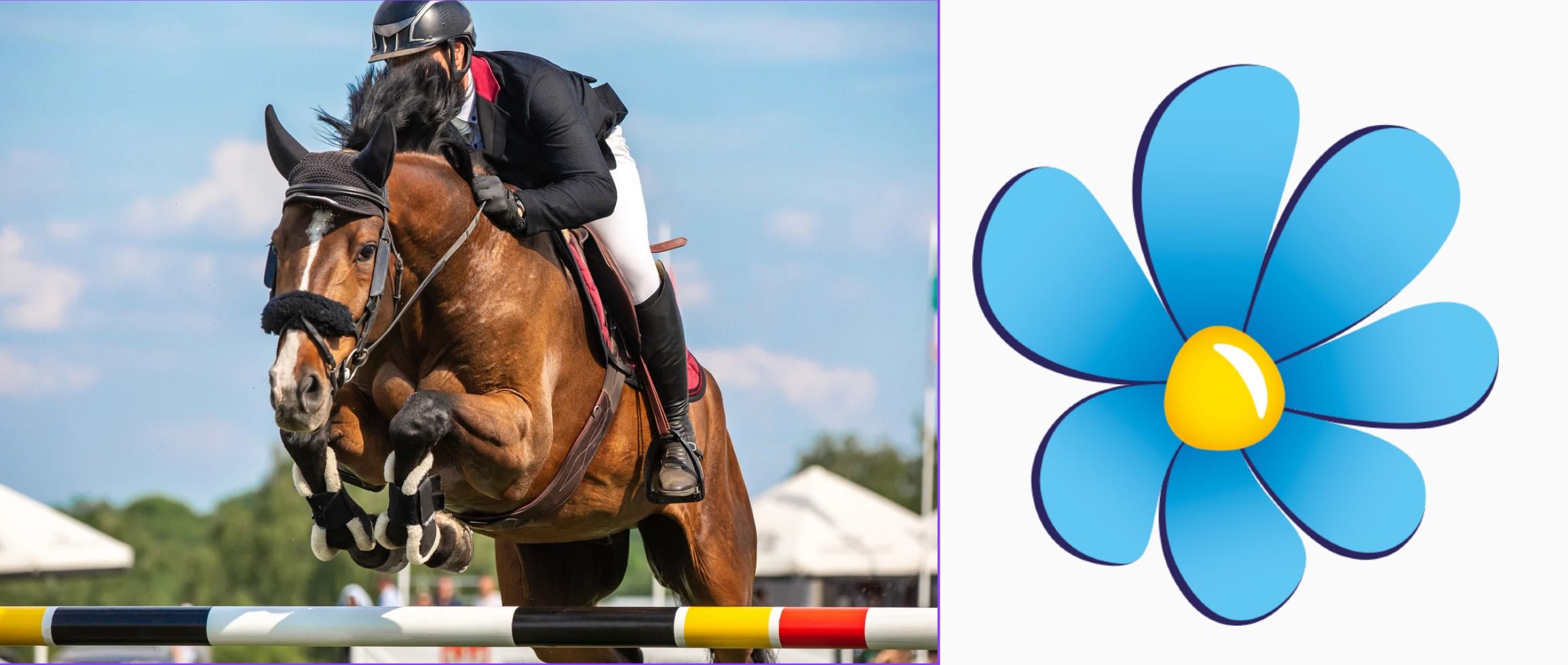 SD:s närvaro på Falsterbo Horse Show splittrar besökare
