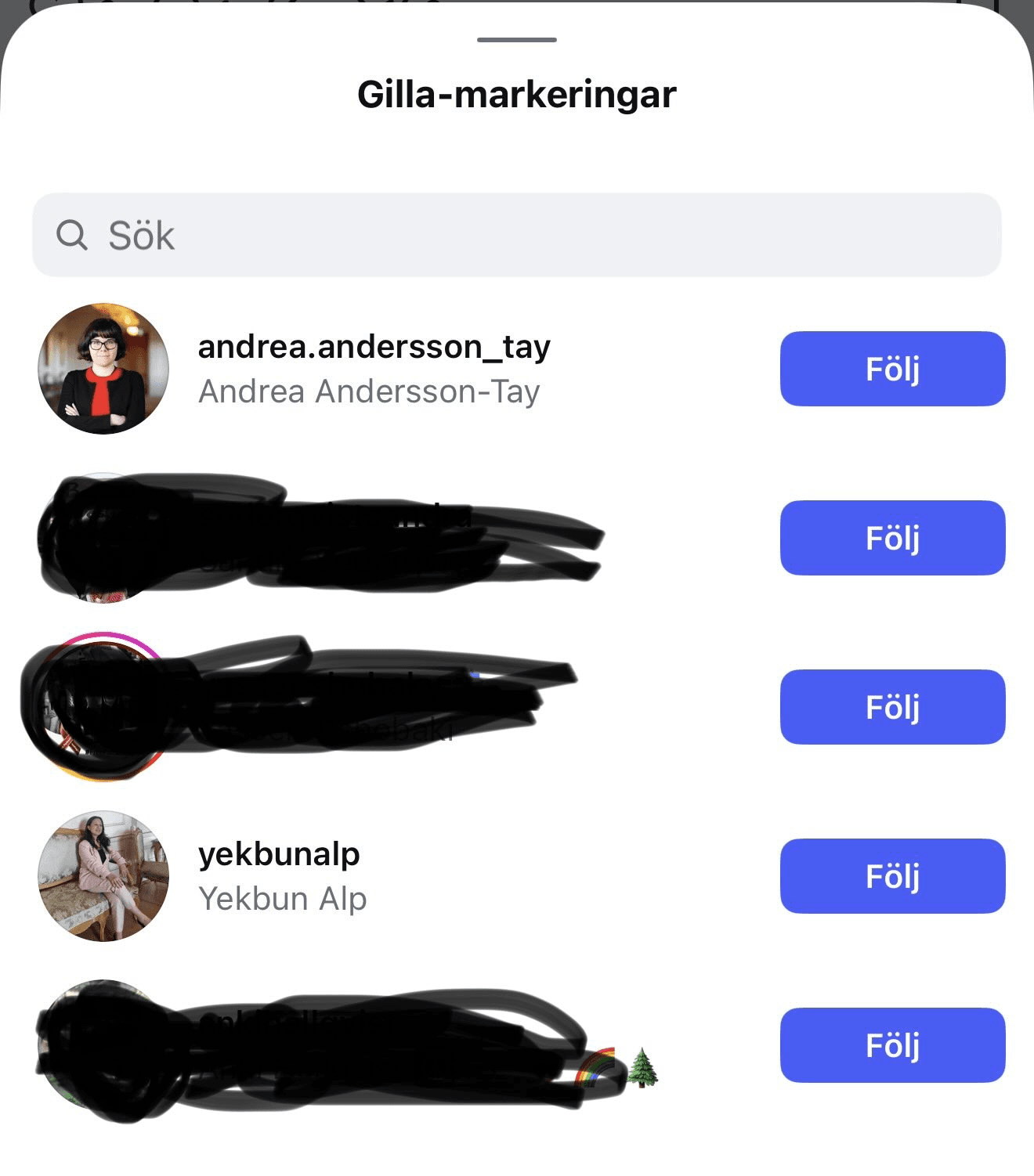 Partikamraterna gillar inlägget om terroristen. Foto: Instagram