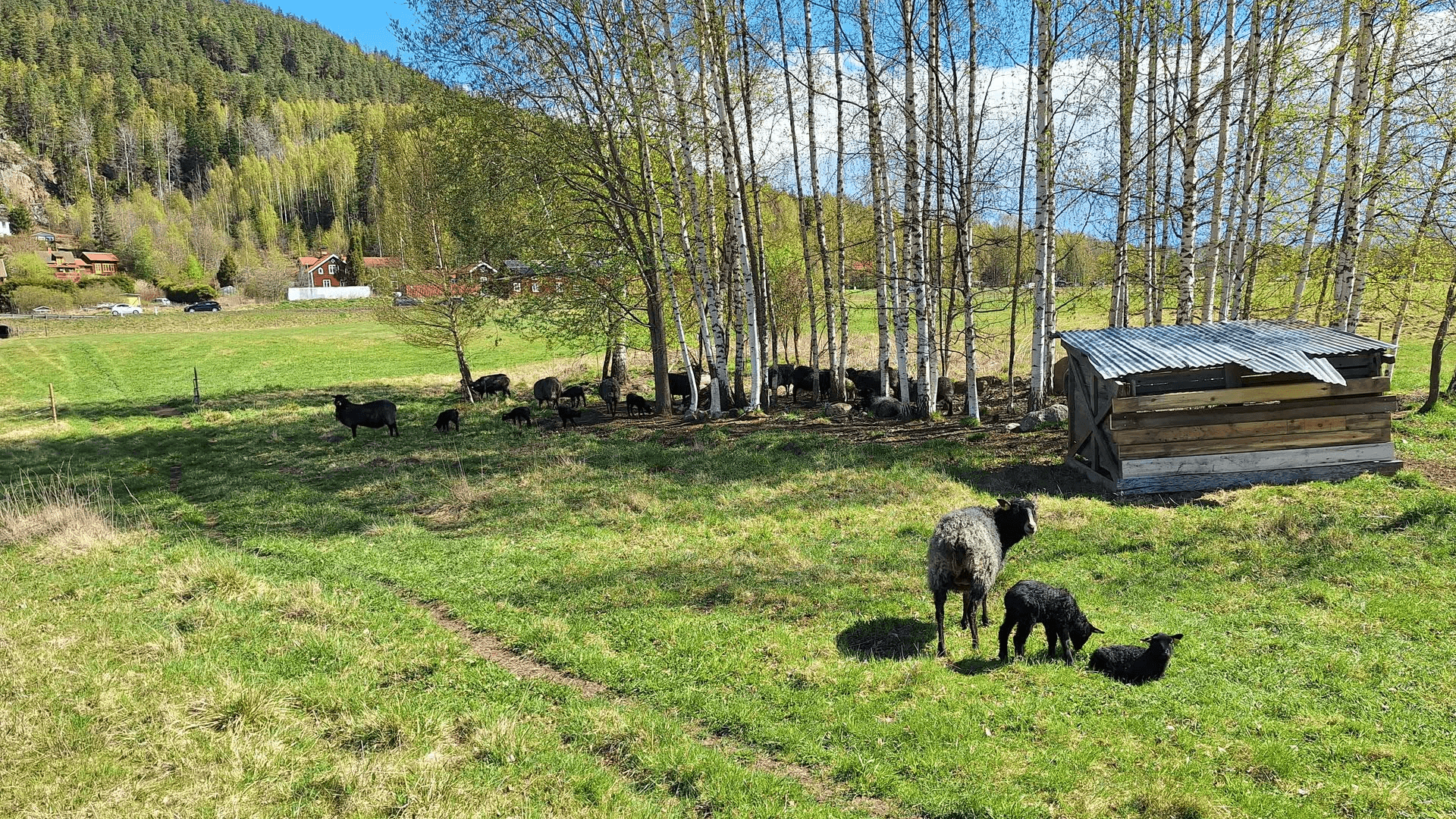 Duvnäs gård. Foto: Privat