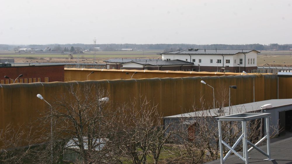 201244.jpg