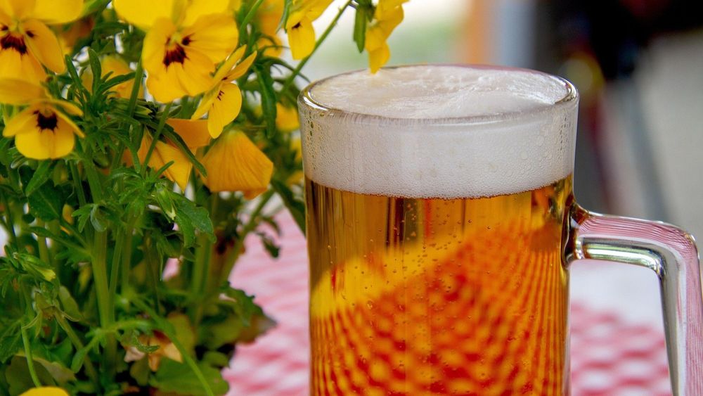 5598375-beer-33781361920.jpg