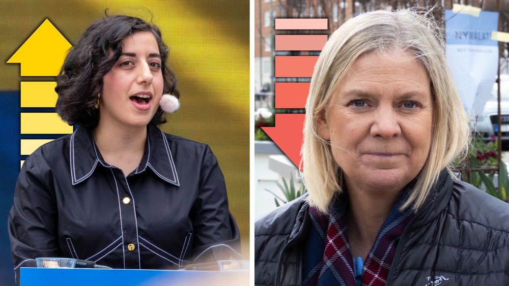 Riks/Sentio: Liberalerna rusar – Socialdemokraterna rasar