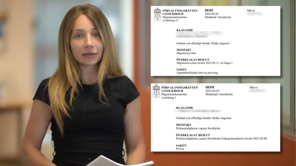 Seriekriminell migrationsjurist döms till fängelse
