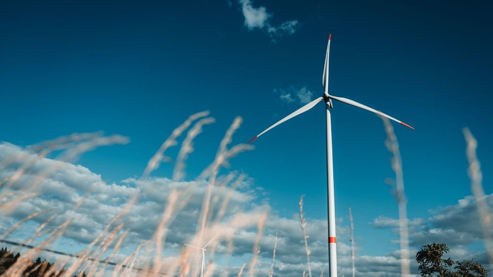 Debatt: S vill luckra upp skydd på södra Öland för att bygga vindkraft