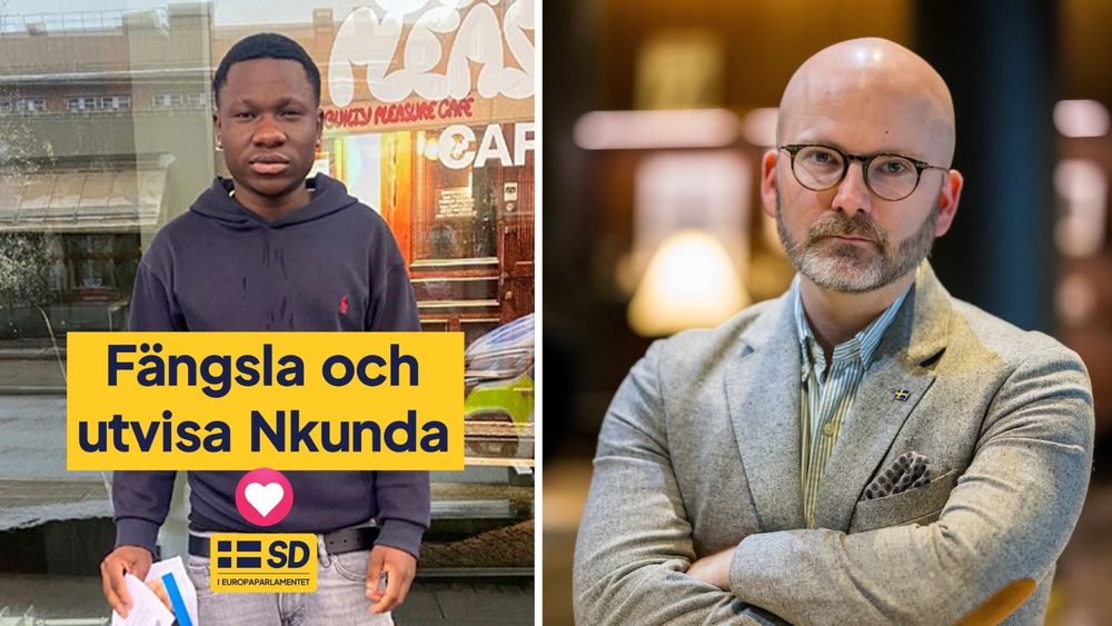 Weimers (SD): "Svenskfientlighet ska straffas stenhårt"