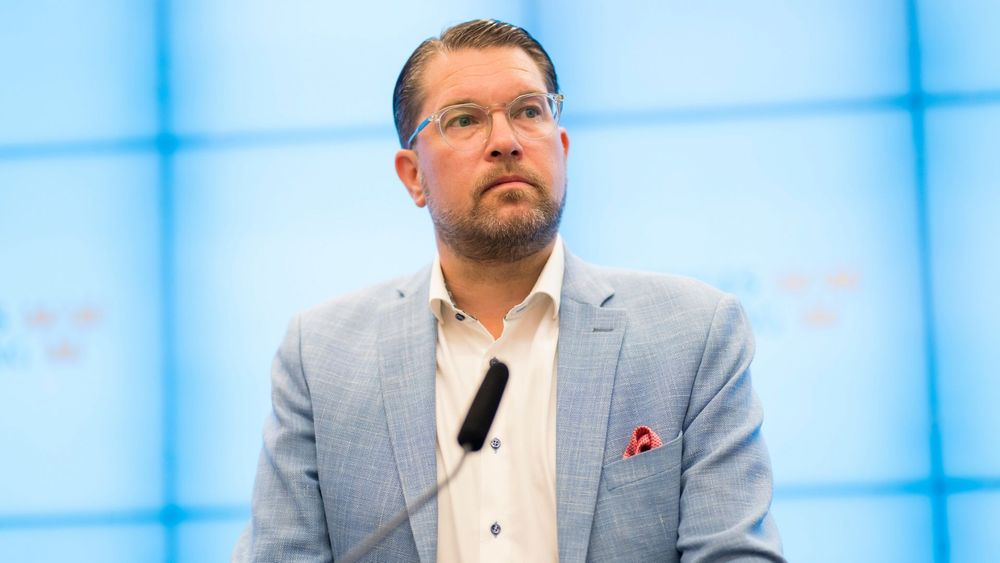 "De är hjältar" – SD lovar benåda dem som varnar för pedofiler