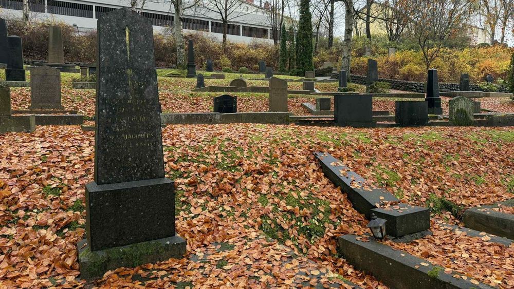 Copy-of-Sörman-–-Ledare-2025-11-04T185911.792.jpg