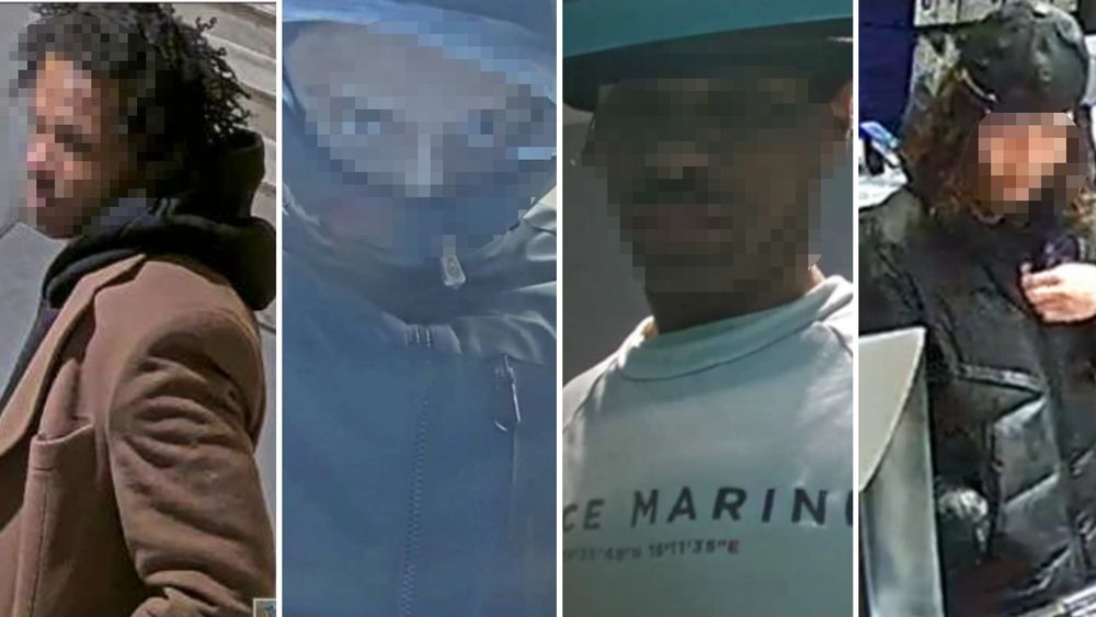 Fick medborgarskap blixtsnabbt – döms för bedrägerier mot äldre