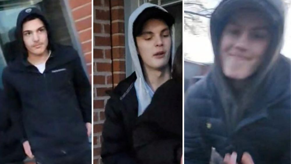 Pojke misshandlades – tvingades tugga på hundbajs