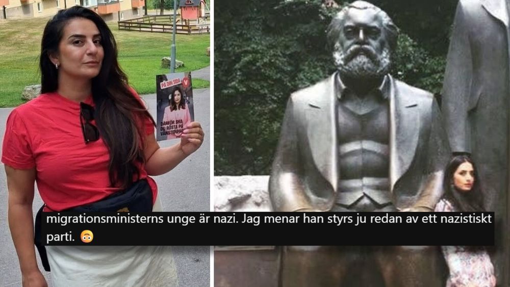 Kallade SD "nazistiskt parti" – ska styra utbildningsutskottet