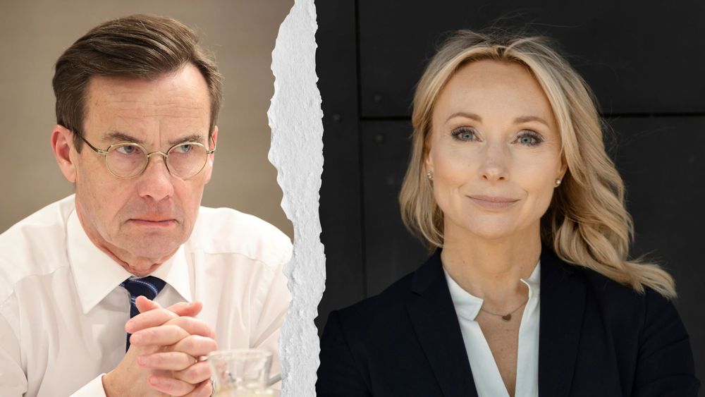 Regeringen släpper in fler kvotflyktingar – Stegrud: "Sverige är fullt"
