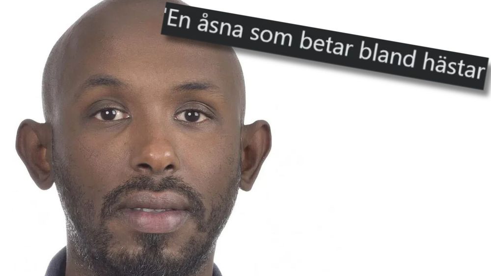 Kryssraketens hån mot SD-Noah: "En åsna bland hästar"