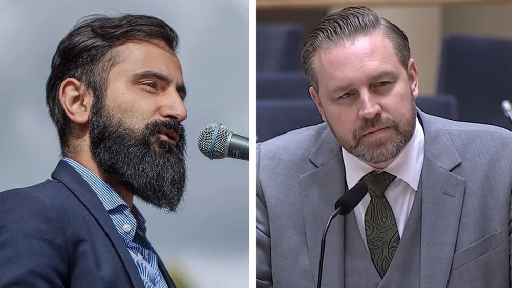 Hanif Bali: Svensk kultur överlever inte utan etniska svenskar