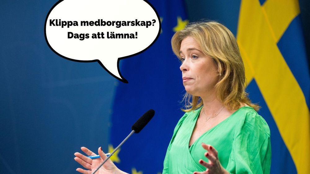Copy-of-Sörman-–-Ledare-30.jpg