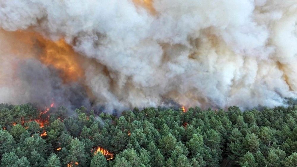 Anlagd brand i historisk skog - två personer gripna för mordbrand