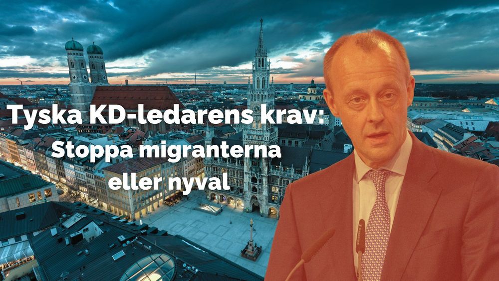 Friedrich-Merz.png