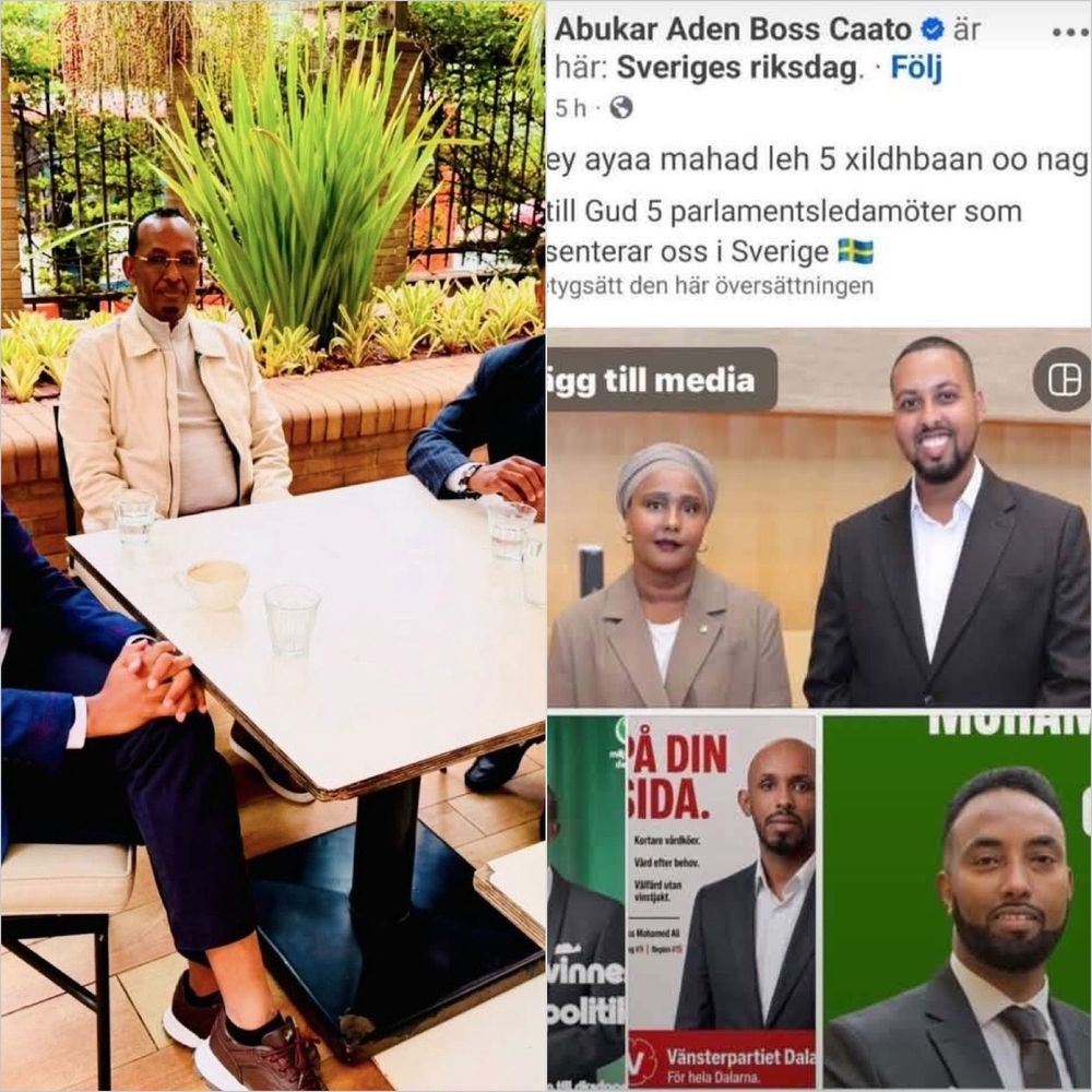 Mira Klang: Somalias män tar plats i Sveriges riksdag