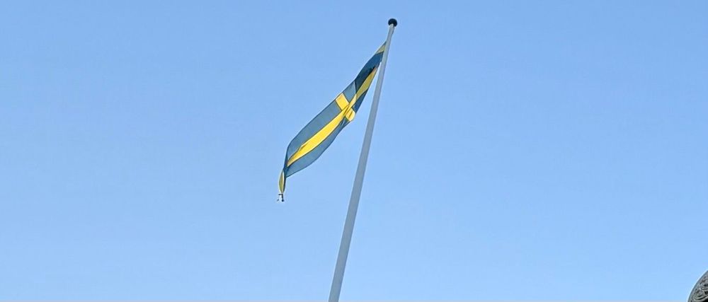 Mira Klang: När blev svensk nationalism en integrationskampanj?