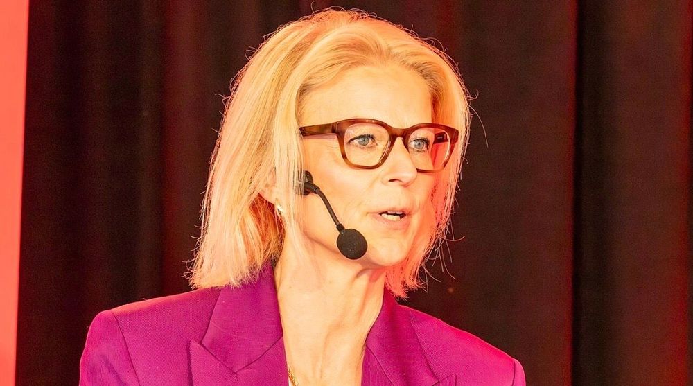 Svantesson (M): ”Det blir övergångsbudget”