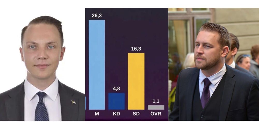 Het diskussion efter SD:s tapp i opinionen 