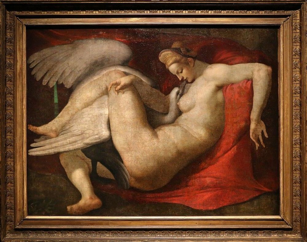 Leda.jpg