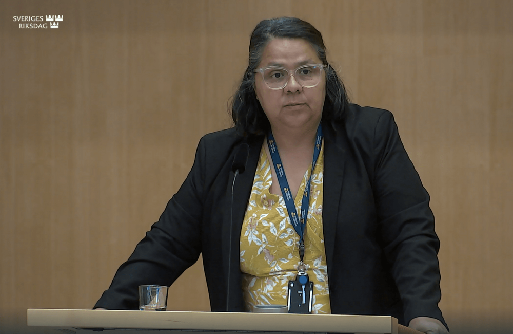 Riksdagsvilden om sänkta straffåldern: "Det är svarta, det är bruna barn"