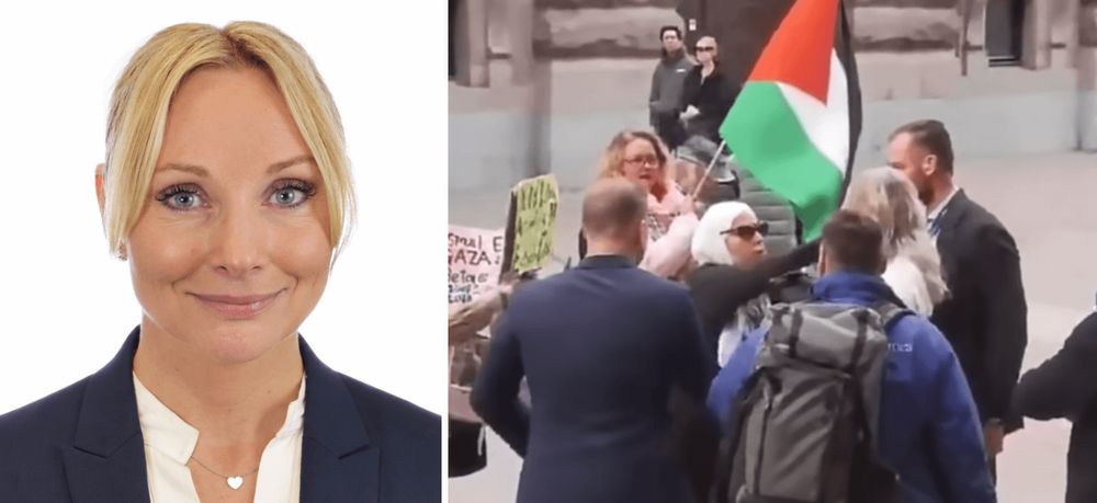 Palestinaaktivist åtalas för attacken mot Stegrud