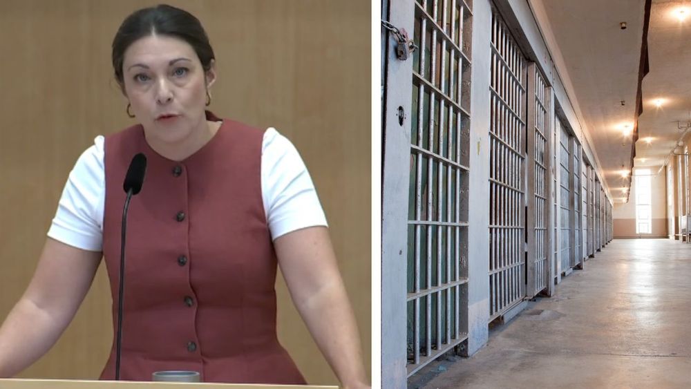 Socialdemokraterna: Därför ska Sverige behålla straffrabatten