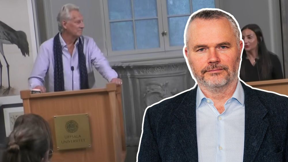 bild.jpg