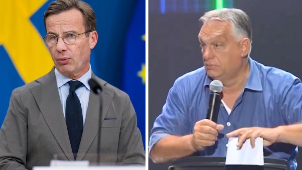 bild.jpg