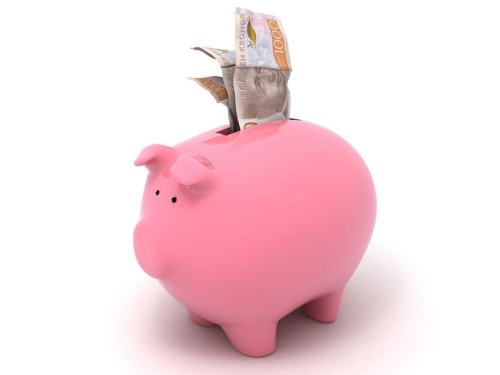 iStock-1497221919.jpg