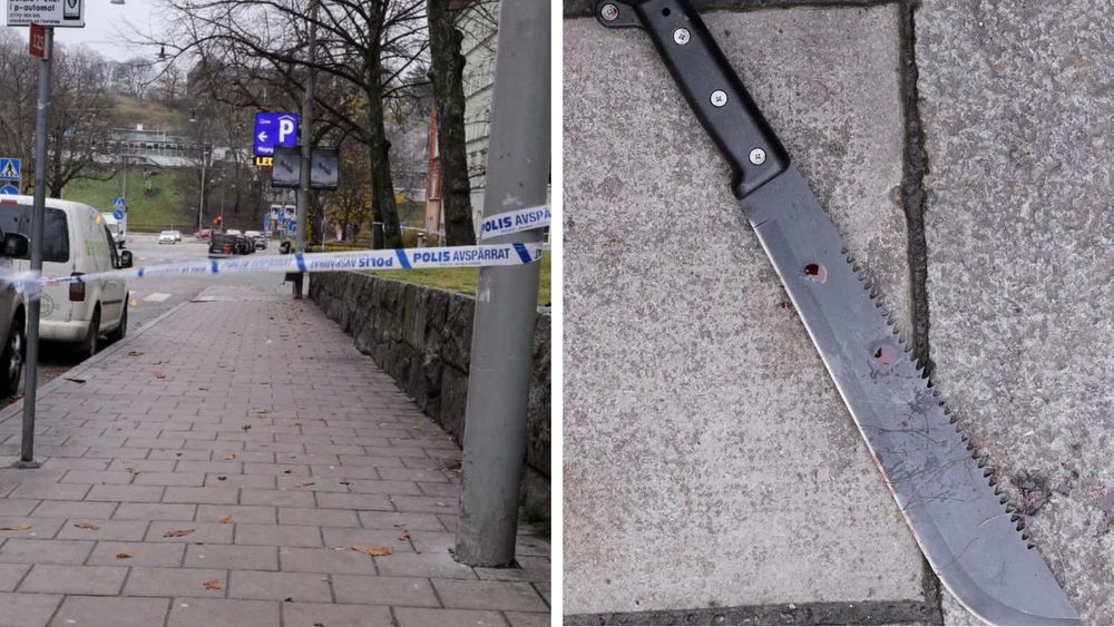 Polisstudent från Turkiet mördade kurdisk kvinna – knivhöggs av hennes son