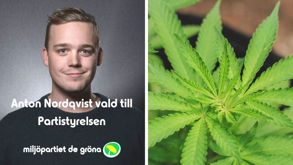 MP-topp hade knarkfabrik – nu lämnar han sina politiska uppdrag