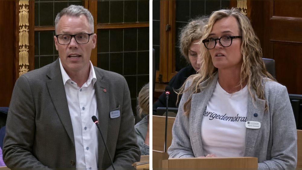 S och V stoppar SD-förslag om hårdare granskning av föreningar