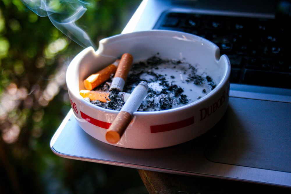 nobleprime-cigarette-8547965.jpg