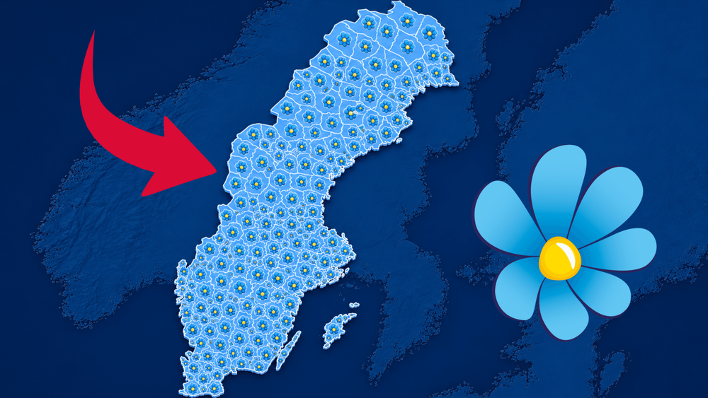 Sverigedemokraterna kandiderar i samtliga kommuner – för första gången