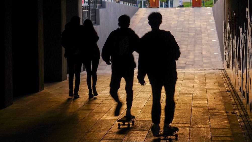 Chocksiffran: Tredje generationens invandrare 180 procent mer kriminella