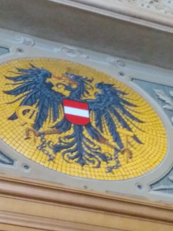 Barn gruppvåldtogs av migranter i Wien