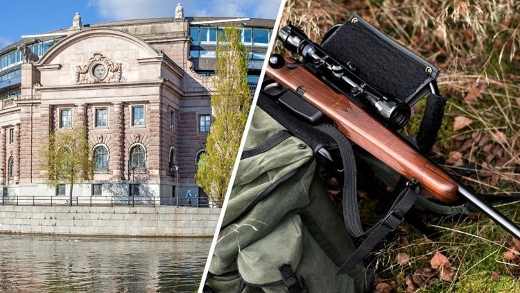 Regeringen vill skärpa vapenlagstiftningen