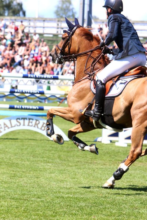 Samarbetet mellan Falsterbo Horse Show och Al Shira’aa Stables avslutas efter islamiseringskritik