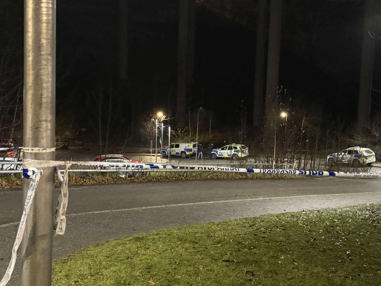 Ung man svårt skadad i misstänkt macheteattack – en gripen