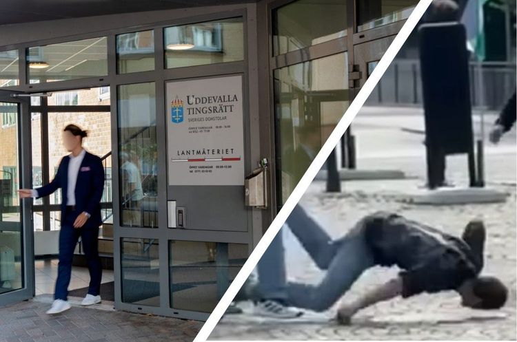 Palestinademonstrant begärd häktad för misshandel på demonstration