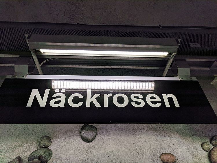 De rödgröna öppnade spärrarna i Stockholms tunnelbana – stölderna ökade med 300 procent