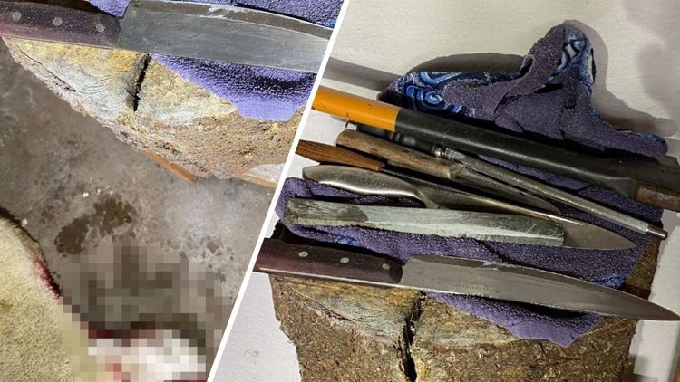 Palestinier halalslaktade får i Smålandskällare