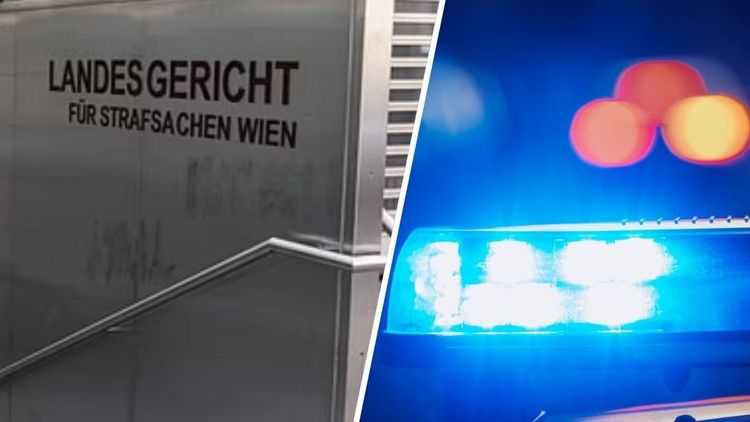 Invandrargäng gruppvåldtog lärare och brände ner hennes lägenhet i Österrike