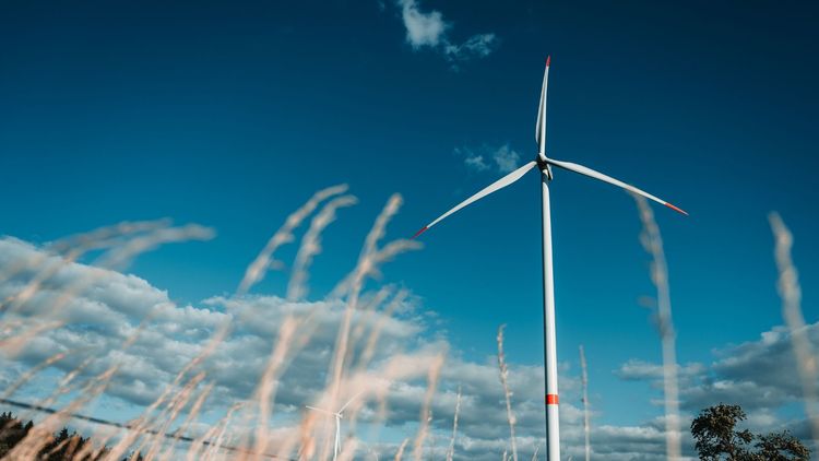 Debatt: S vill luckra upp skydd på södra Öland för att bygga vindkraft